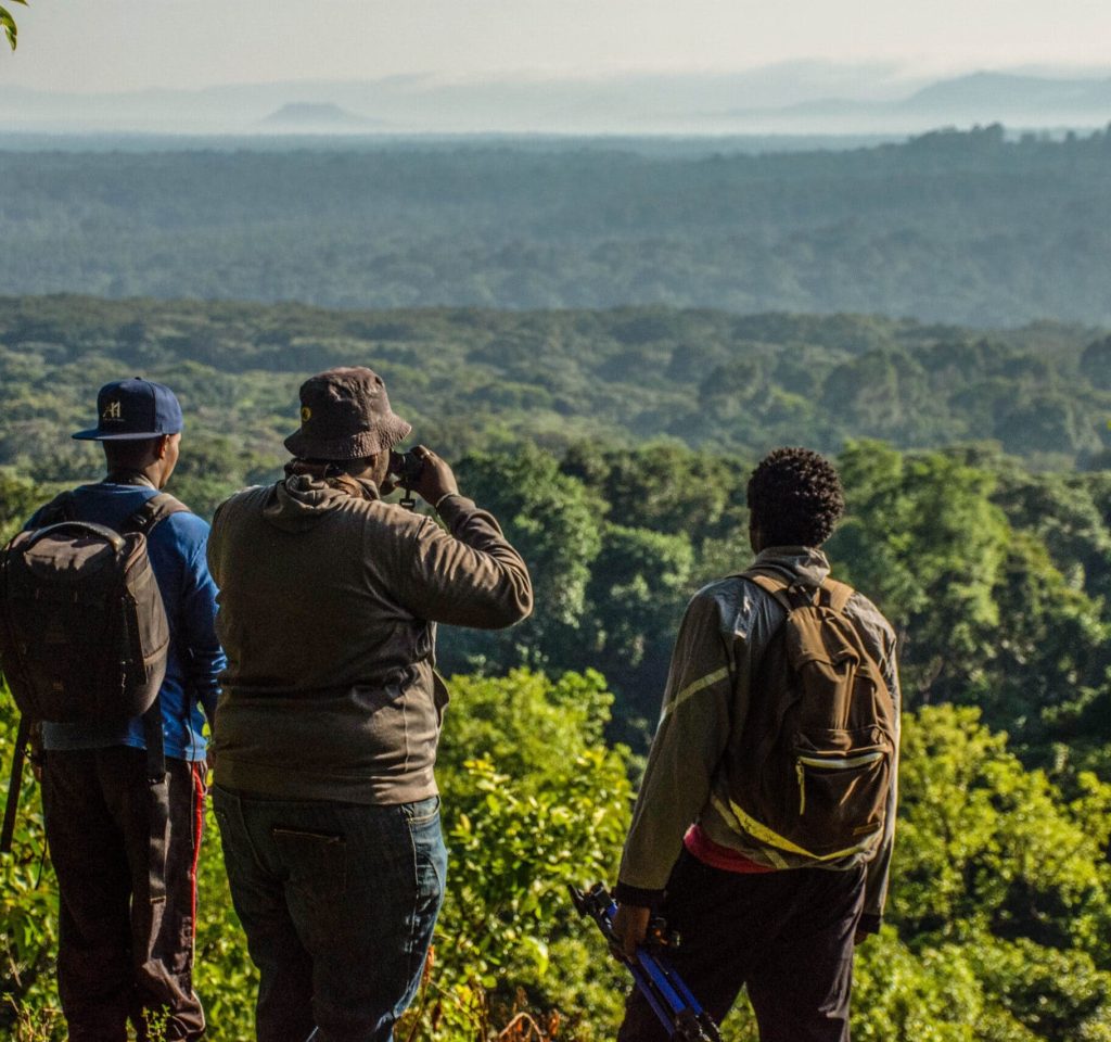 a-hike-in-the-rain-forest-2026-01-05-05-18-20-utc