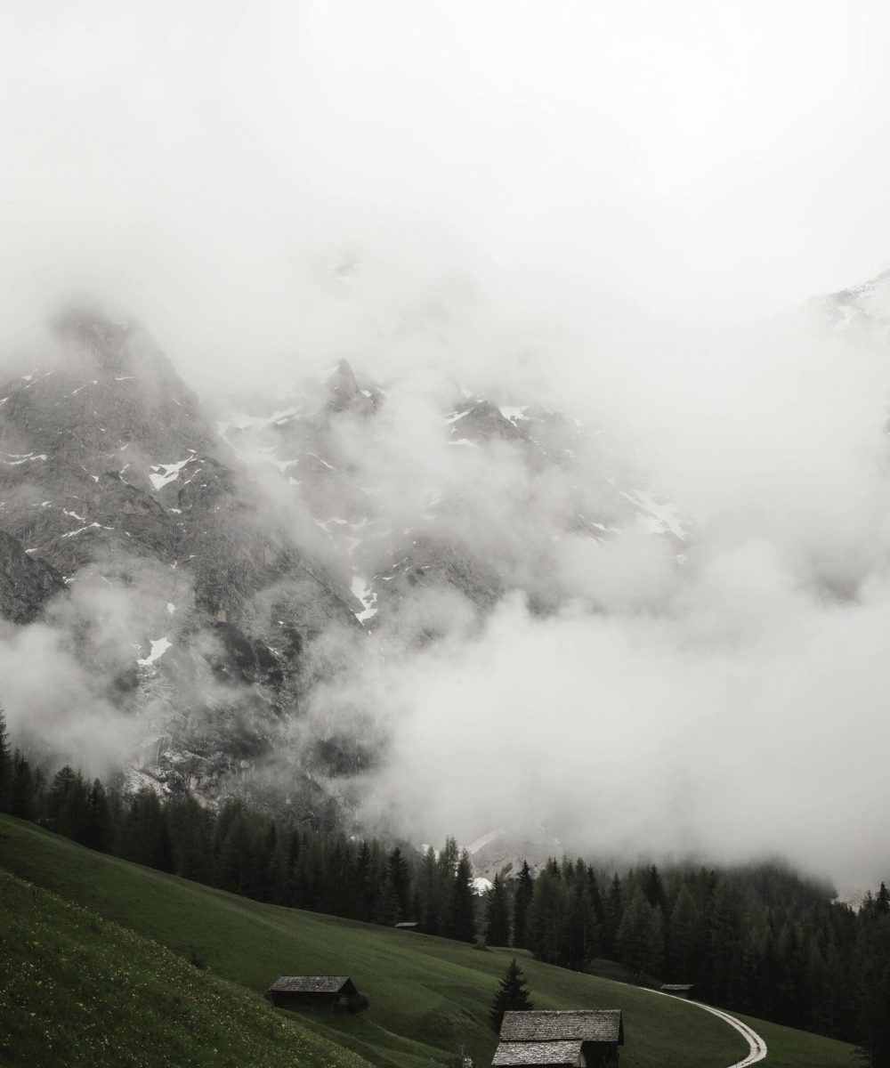 pexels-eberhardgross-8051670
