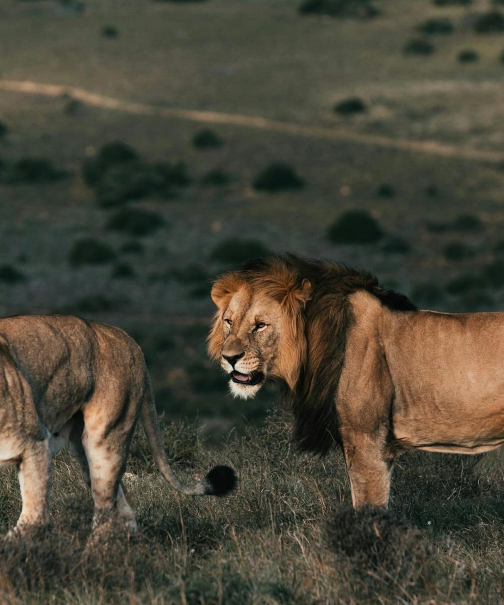 Marakele National Park